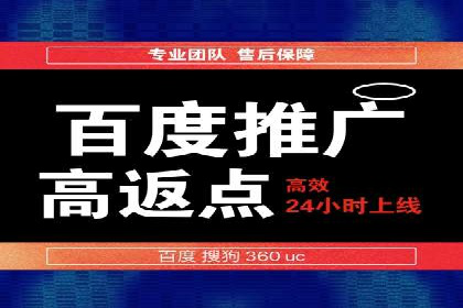 SEM推广案例：揭秘高ROI背后的策略与实践